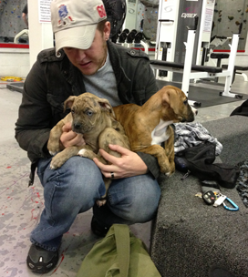 Boxer Rescue Event